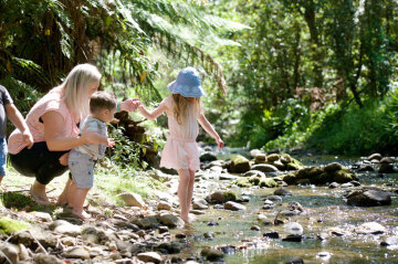 Playing in the creek